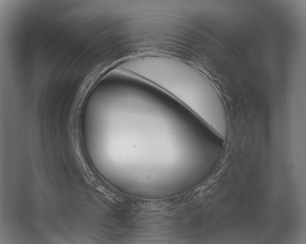 X0000068270241200604210947