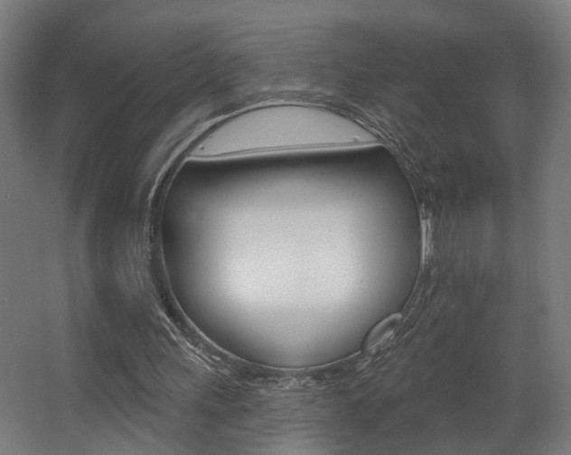 X0000068270243200604210947