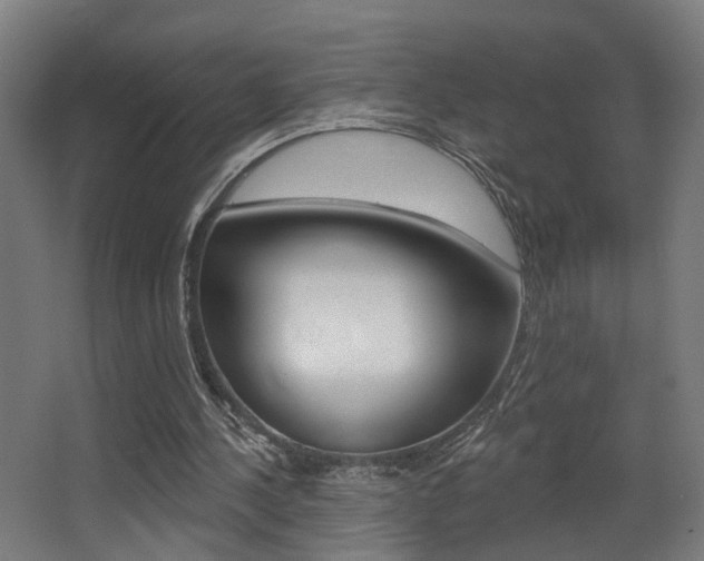 X0000068270244200604210947