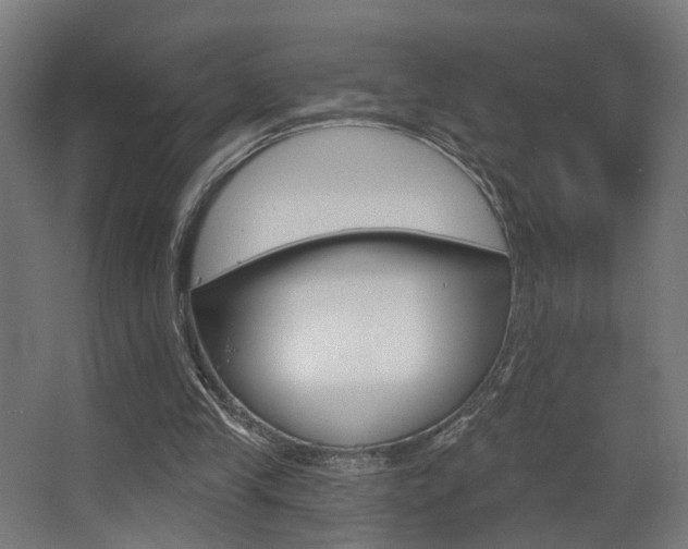 X0000068270245200604210947