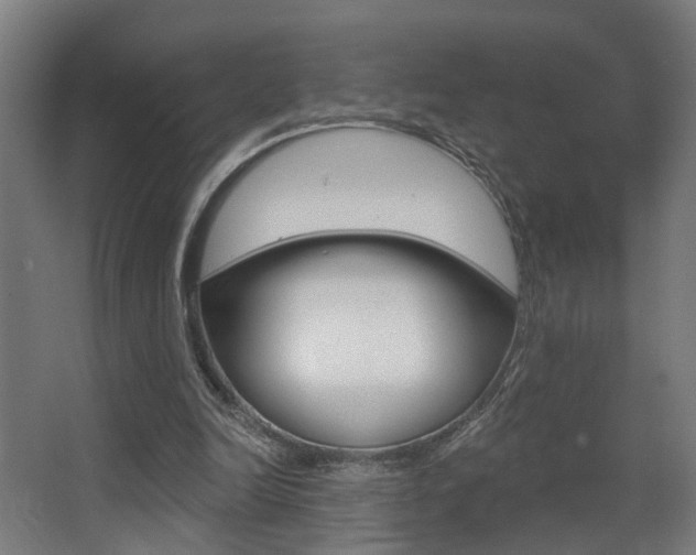 X0000068270246200604210947