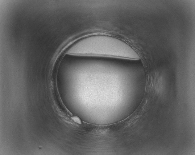 X0000068270247200604210947