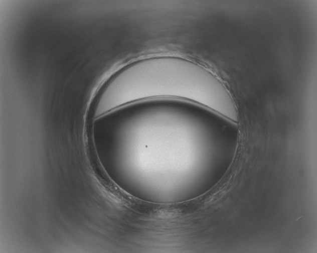 X0000068270248200604210947