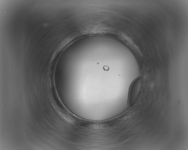 X0000068270250200604210947