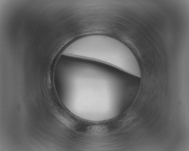 X0000068270251200604210948