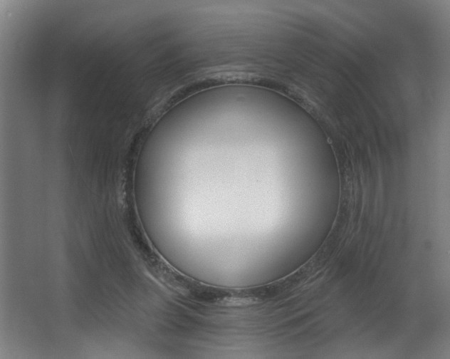 X0000068270255200604210948