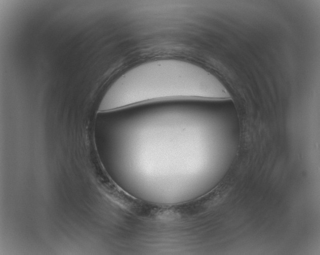 X0000068270258200604210948