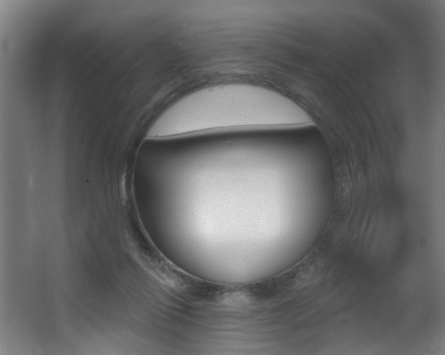 X0000068270262200604210948