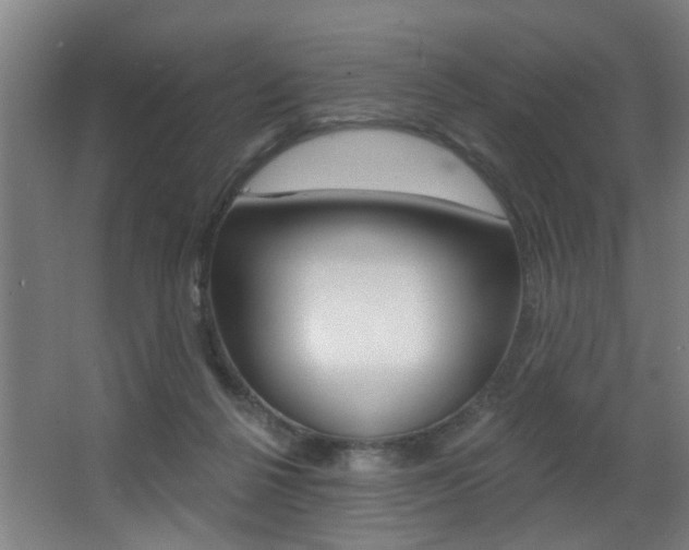 X0000068270264200604210948