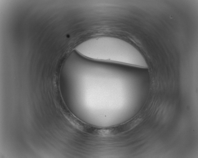 X0000068270265200604210948