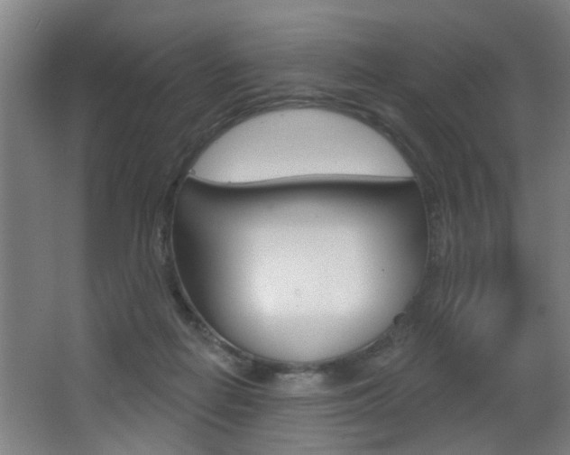 X0000068270266200604210948