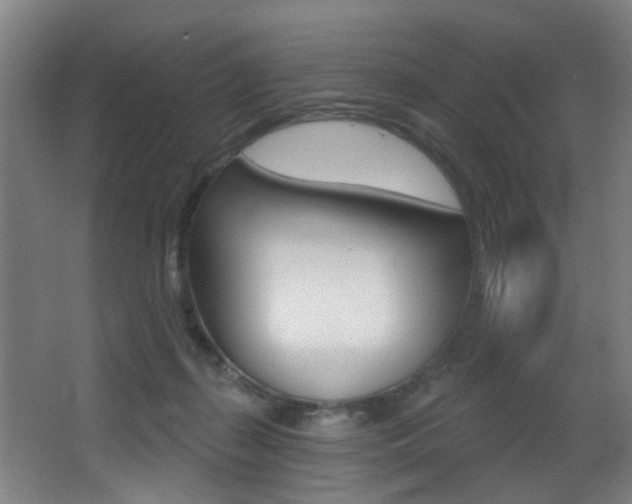 X0000068270267200604210948