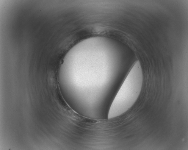 X0000068270270200604210948