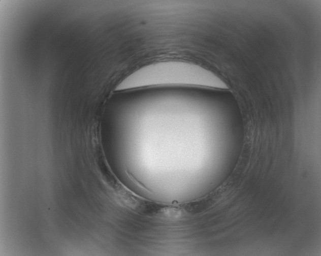 X0000068270272200604210948