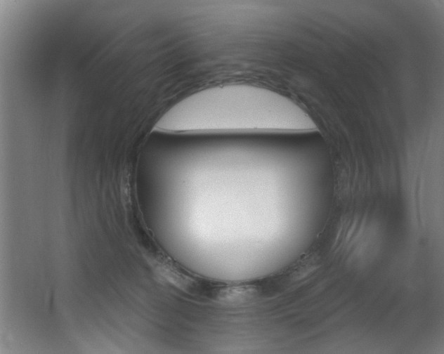 X0000068270274200604210948