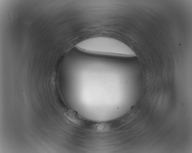 X0000068270275200604210948