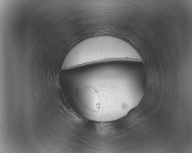 X0000068270281200604210948