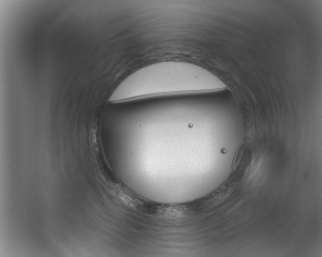 X0000068270282200604210948