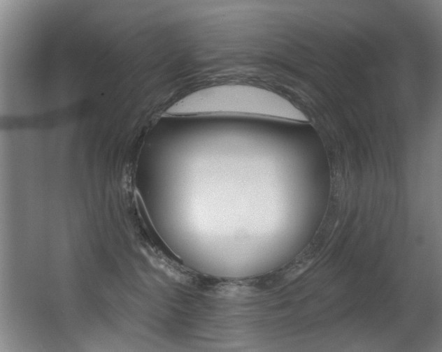 X0000068270284200604210948