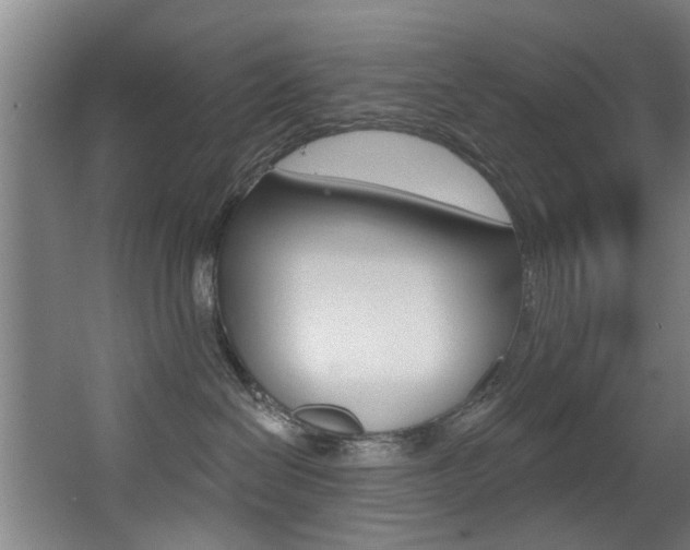 X0000068270286200604210948