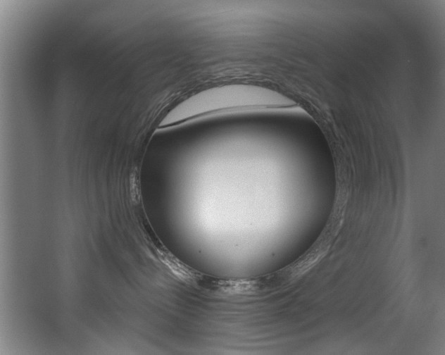 X0000068270288200604210948