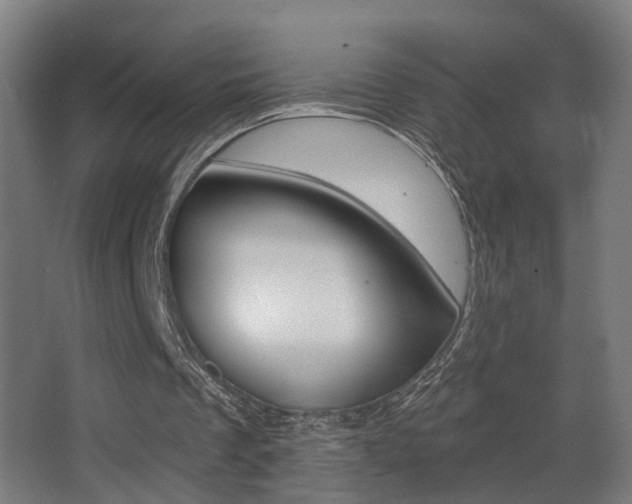 X0000068270289200604210947