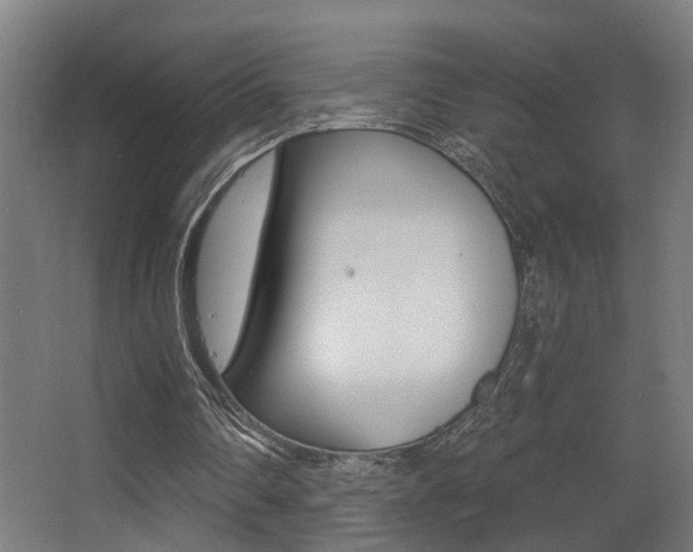 X0000068270290200604210947