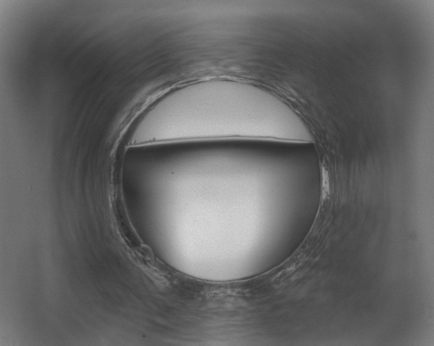 X0000068270291200604210947