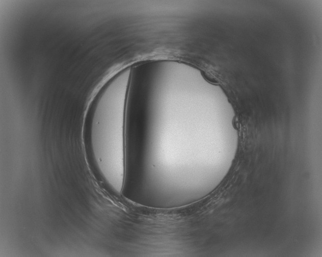 X0000068270292200604210947