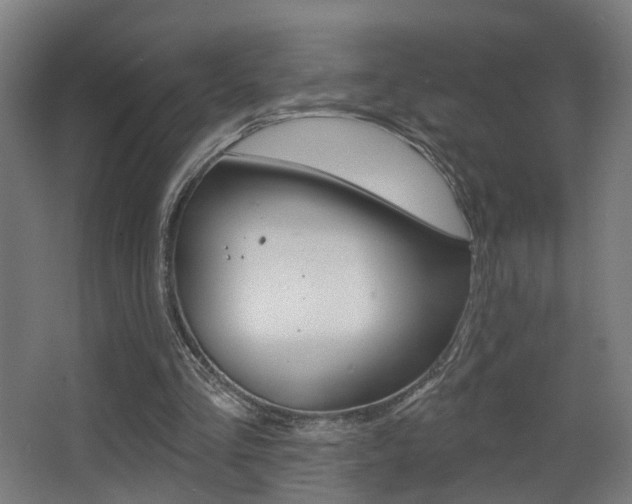 X0000068270293200604210947