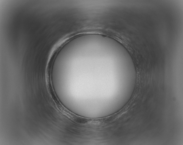 X0000068270294200604210947