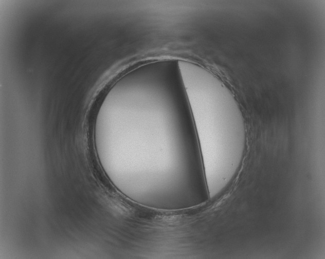 X0000068270295200604210947