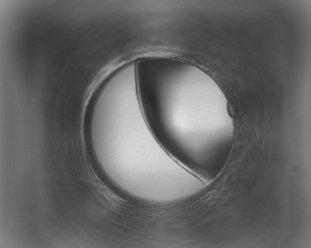 X0000068270296200604210947