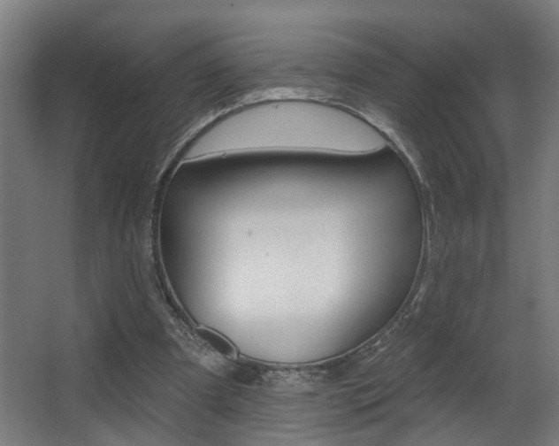 X0000068270297200604210947