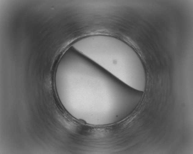 X0000068270298200604210947