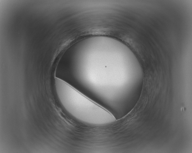 X0000068270299200604210947