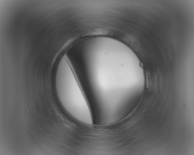 X0000068270300200604210947