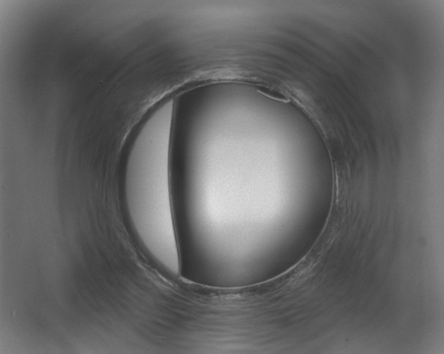 X0000068270301200604210947