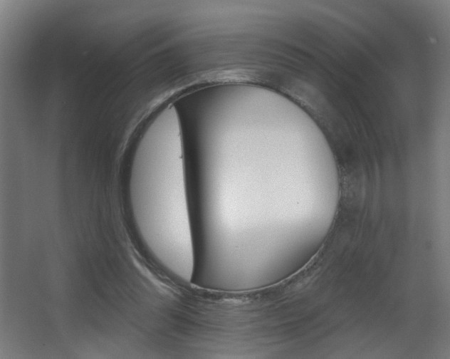 X0000068270302200604210947