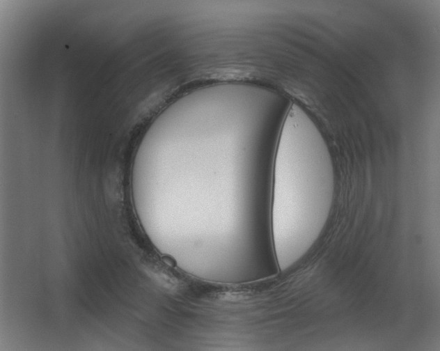 X0000068270303200604210947