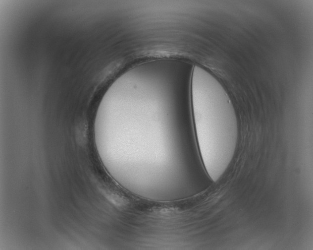 X0000068270304200604210947