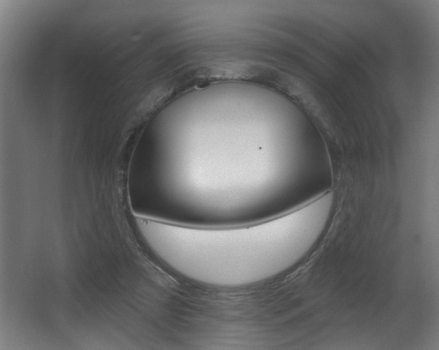 X0000068270305200604210947