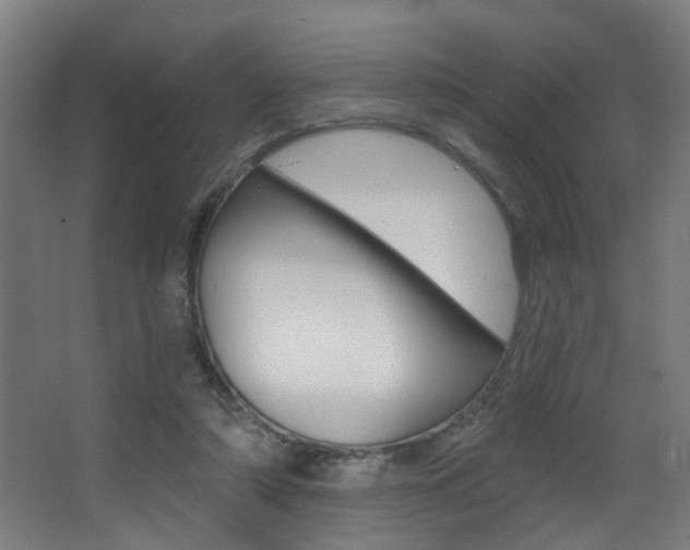 X0000068270306200604210947