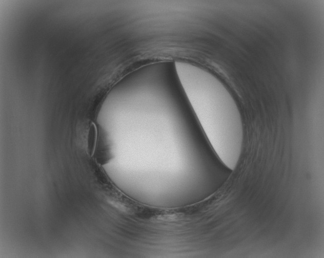 X0000068270307200604210947