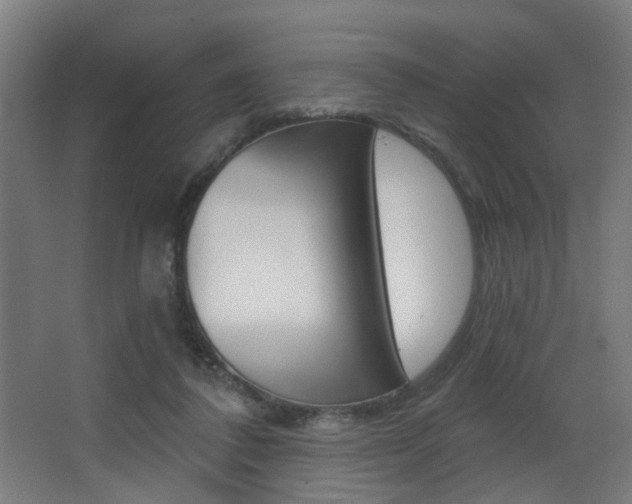 X0000068270308200604210947