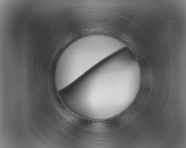 X0000068270310200604210947