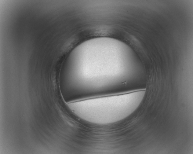 X0000068270312200604210947