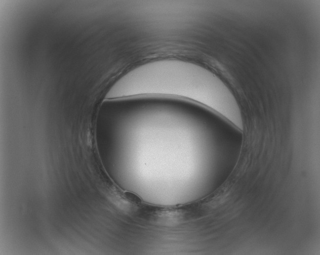 X0000068270313200604210947