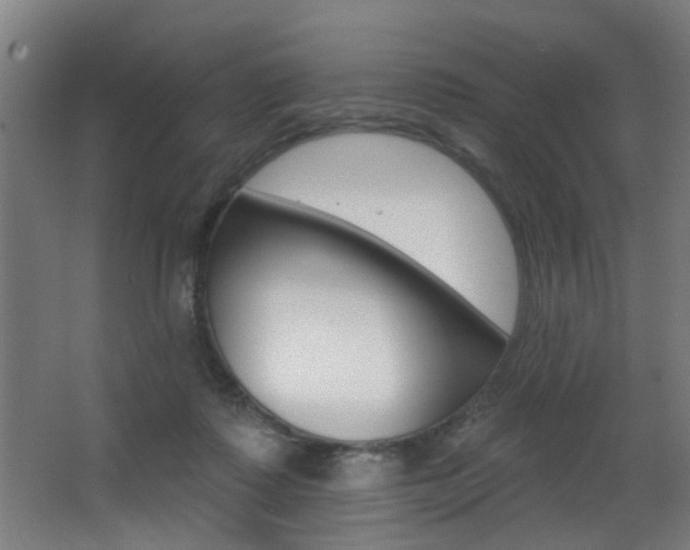 X0000068270315200604210947