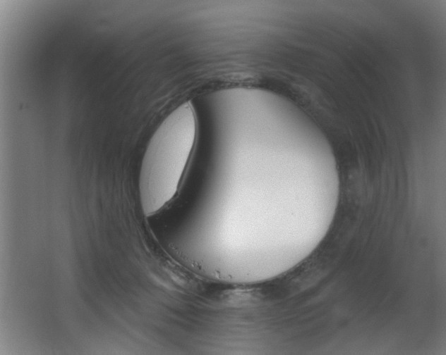 X0000068270320200604210947